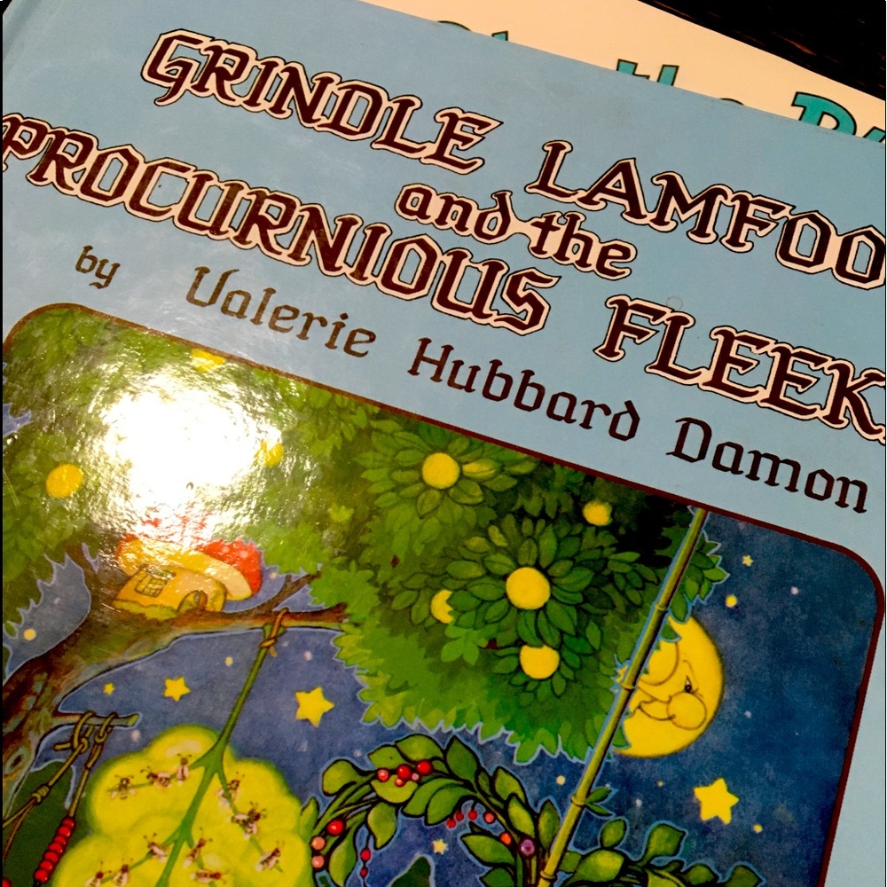 Vintage Valerie Hubbard children’s book 1970s